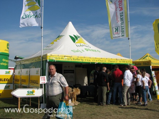 Zdj. - 610 - DANKO HODOWLA ROŚLIN Sp. z o.o. z/s w Choryni