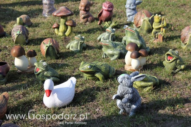 Foto reportaż z Targów Rolno-Ogrodnicze AGROMARSZ Marszew 2011