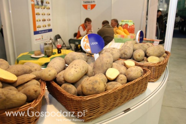 Fotoreportaż AGROTECH, LAS EXPO 2011