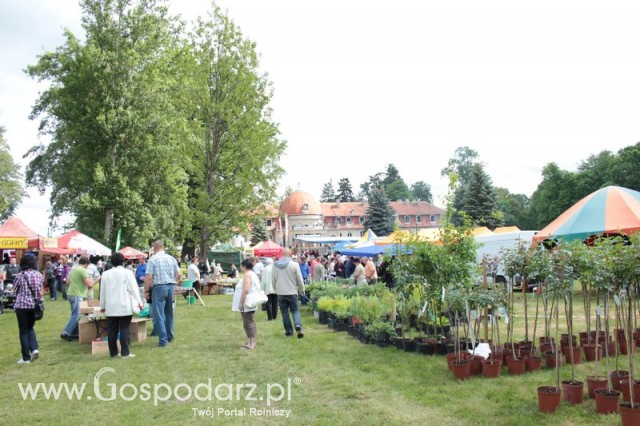 XX Targi Rolnicze Lubniewice