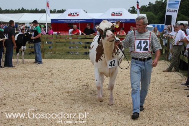 Nagordy dla superchampionów i championów  - 37