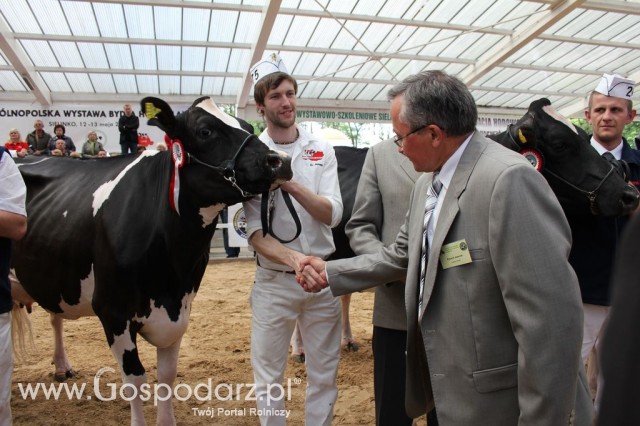 VII Ogólnopolska Wystawa Bydła Hodowlanego - 55