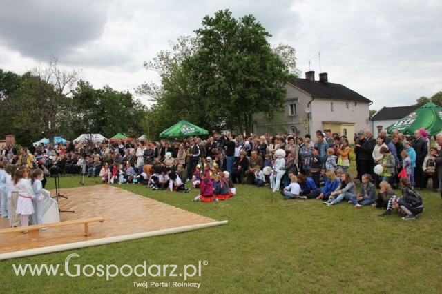 Występy artystyczne odbywające się podczas Dni Indyka