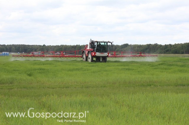 Zielone Agro Show Kąkolewo - Polskie Zboża  - 126