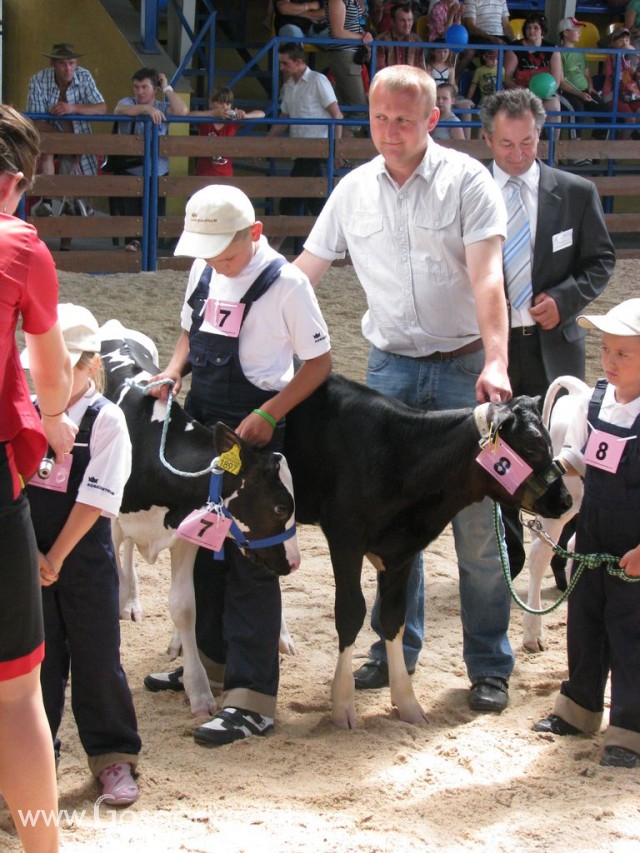 Młody Hodowca - Szepietowo 2012 - 53