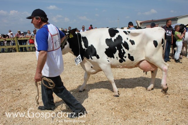 Nagordy dla superchampionów i championów  - 82