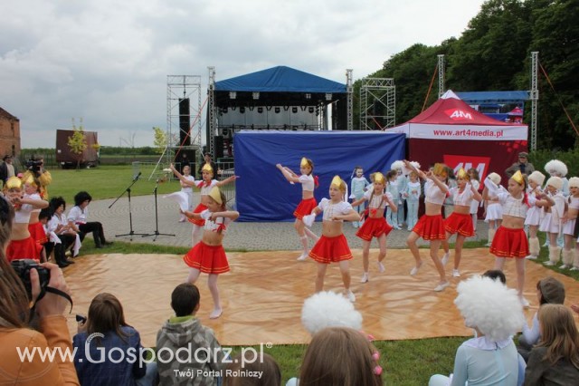 Występy artystyczne odbywające się podczas Dni Indyka