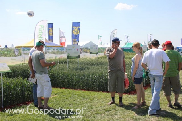 Polskie Zboża 2011 - Sobota