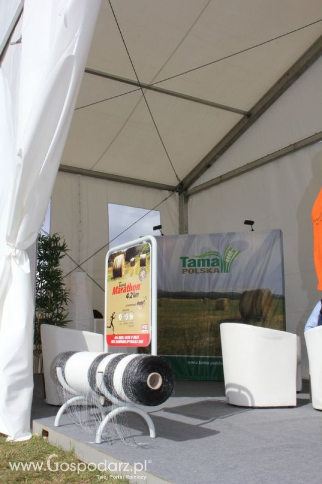 Tama Polska - 5