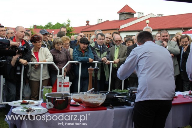 VII Ogólnopolska Wystawa Bydła Hodowlanego - 19