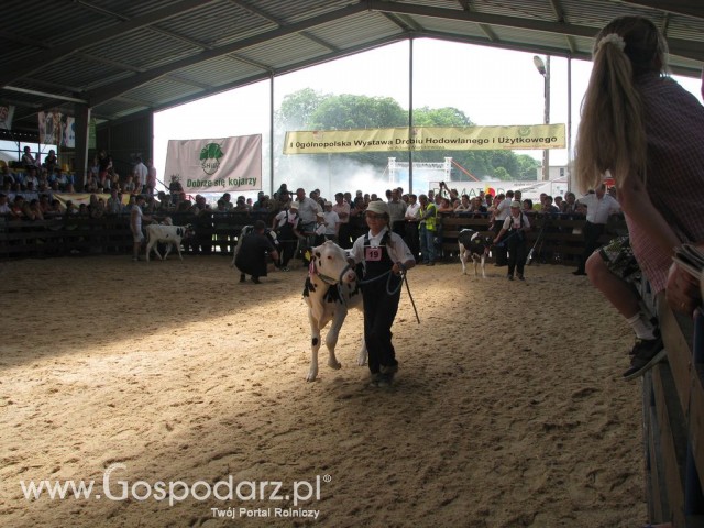 Młody Hodowca - Szepietowo 2012 - 35