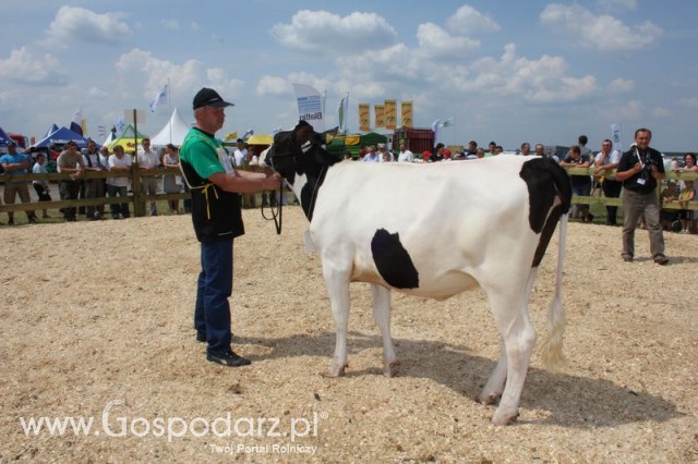 Nagordy dla superchampionów i championów  - 42