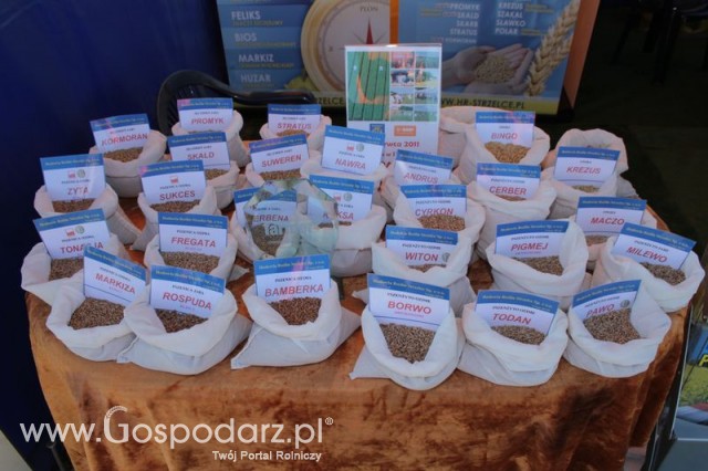 Polskie Zboża 2011