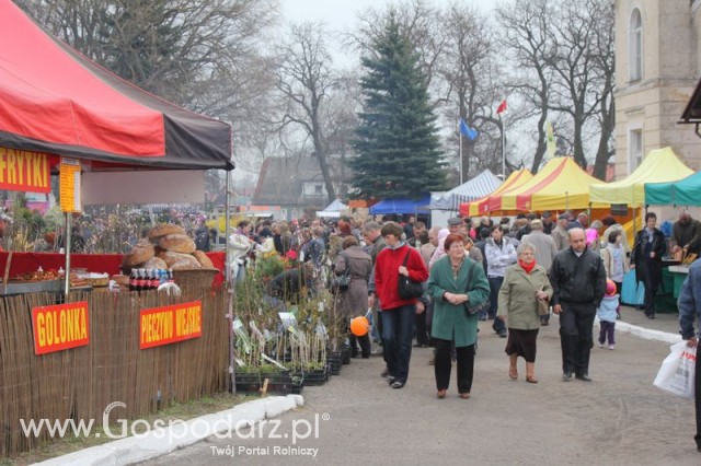 Fotoreportaż z XX Agro-Targów 2011 w Starej Łubiance