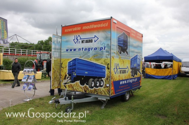 VII Ogólnopolska Wystawa Bydła Hodowlanego - 81