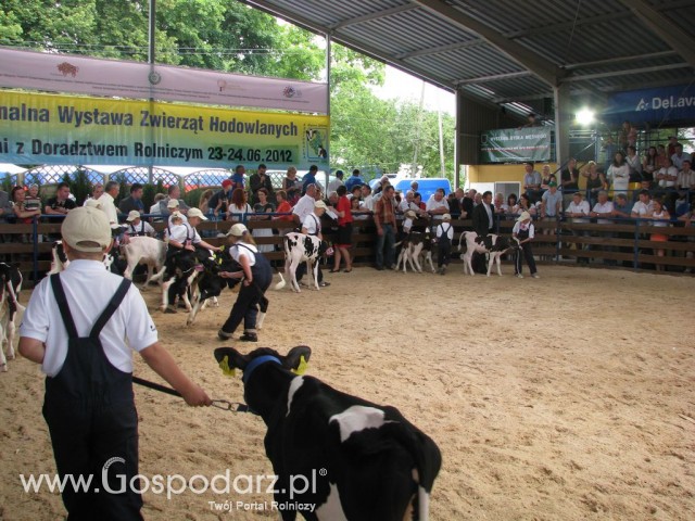 Młody Hodowca - Szepietowo 2012 - 11