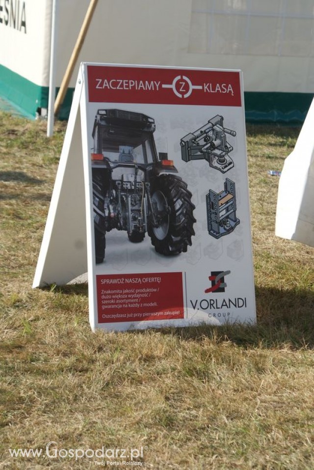 Zdj. - 126 - V. Orlandi Polska