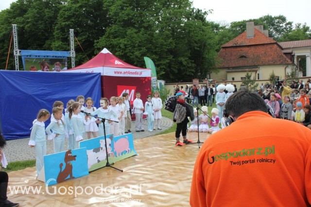Występy artystyczne odbywające się podczas Dni Indyka