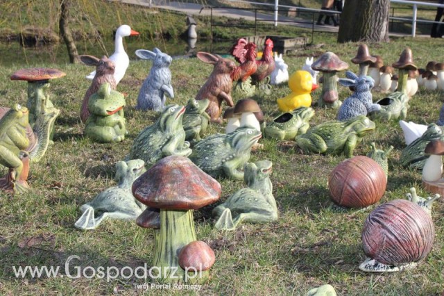 Foto reportaż z Targów Rolno-Ogrodnicze AGROMARSZ Marszew 2011