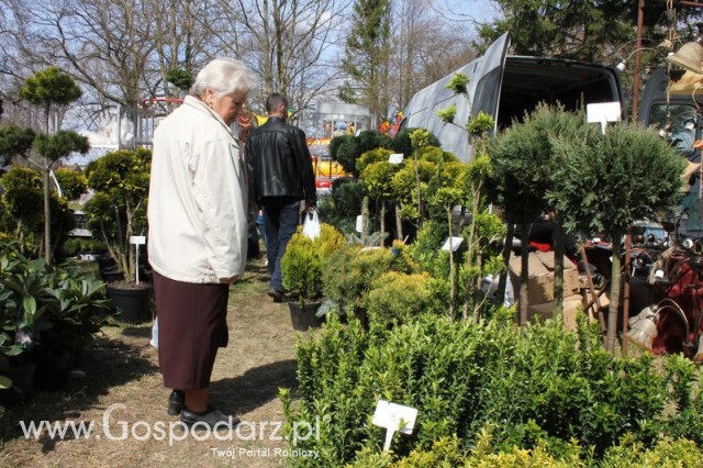 Fotoreportaż z XX Agro-Targów 2011 w Starej Łubiance