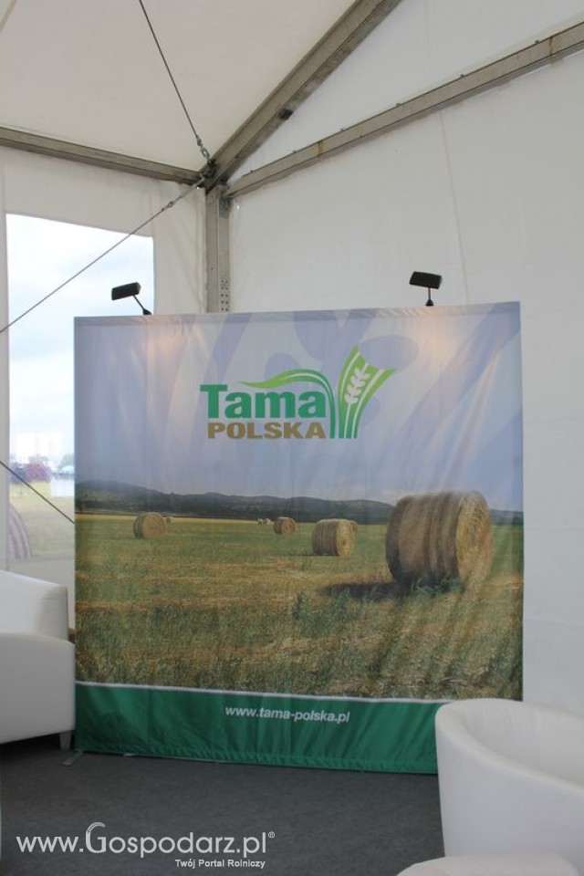 Tama Polska - 4
