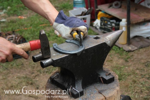 XX Targi Rolnicze Lubniewice