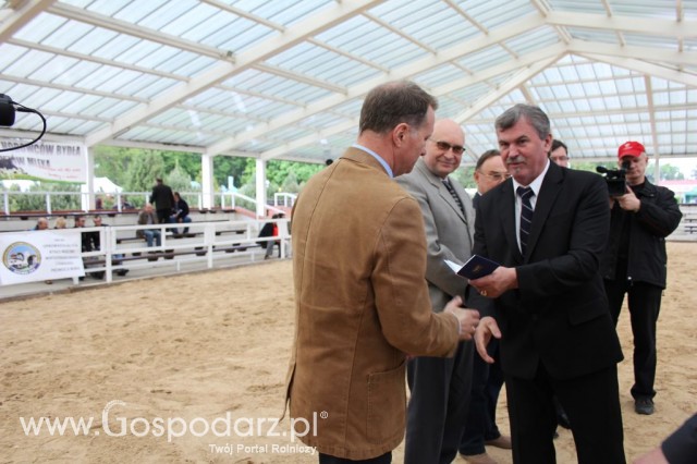 VII Ogólnopolska Wystawa Bydła Hodowlanego - 16