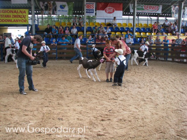 Młody Hodowca - Szepietowo 2012 - 87