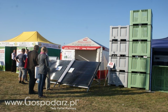 Zdj. - 245 - LINIA SZYCIA