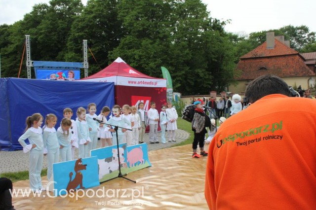 Występy artystyczne odbywające się podczas Dni Indyka