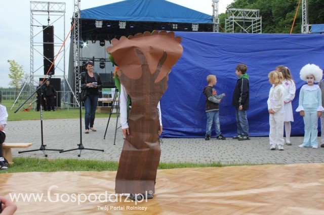 Występy artystyczne odbywające się podczas Dni Indyka