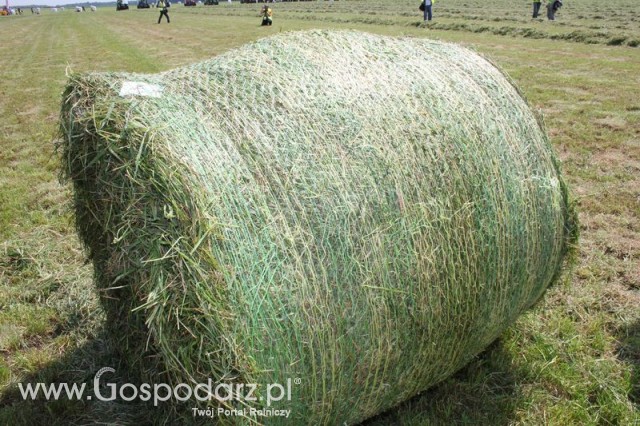 Zielone Agro Show pokaz maszyn rolniczych