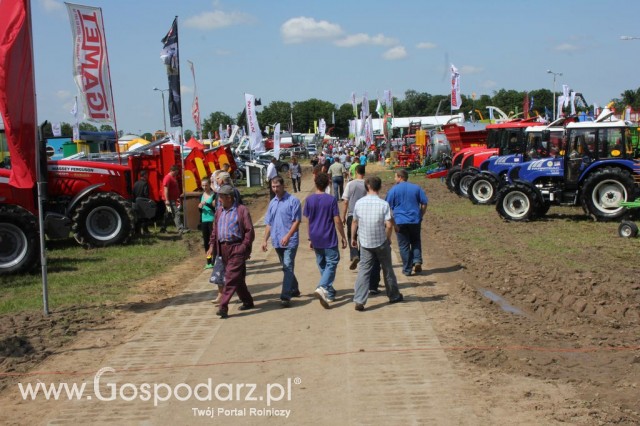 Szepietowo 2012 XIX Regionalna Wystawa Zwierząt Hodowlanych, I Ogólnopolska Wystawa Drobiu oraz Dni z Doradztwem Rolniczym - 8