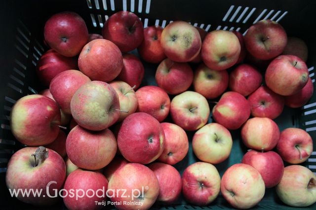 Fotoreportaż z XI Międzynarodowych Targów Fermy Bydła