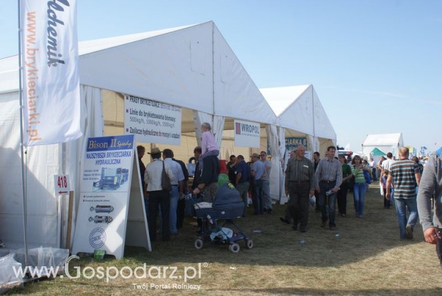 Zdj. - 409 - ALCHEMIK Rzemieślnicza wytwórnia chemiczna Andrzej Piotrowski, Piotr Piotrowski S.c.