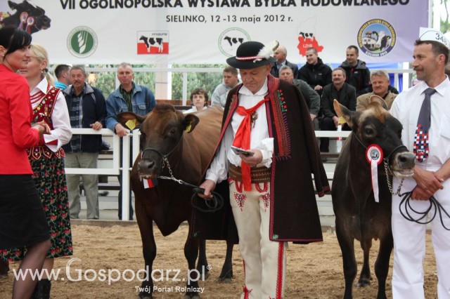 Prezentacja Championów na VII Ogólnopolskiej Wystawie Bydła Hodowlanego w Sielinku 2012 - 52