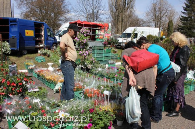 Fotoreportaż z XX Agro-Targów 2011 w Starej Łubiance