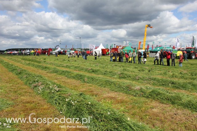 Pokazy Maszyn Polskie Zboża Zielone Agroshow 2012  - 43