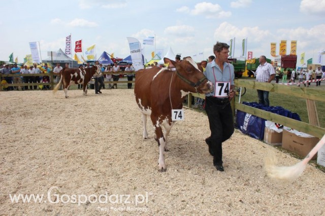 Nagordy dla superchampionów i championów  - 46