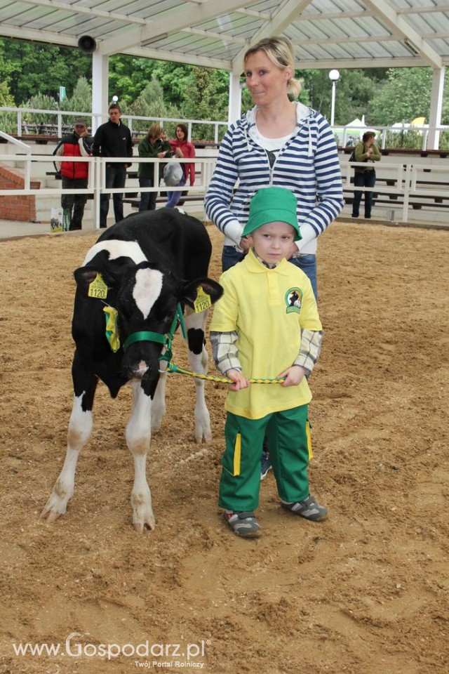 Mali hodowcy Sielinko 2012 - 40