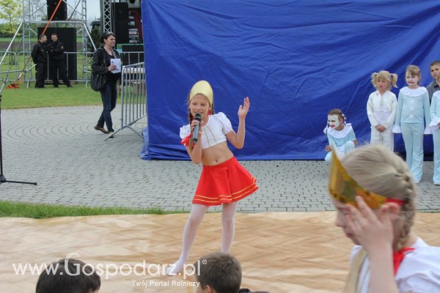 Występy artystyczne odbywające się podczas Dni Indyka