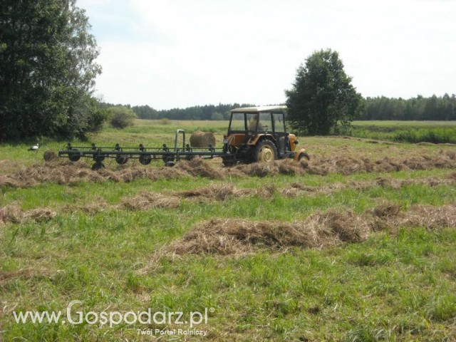 zbieranie siana