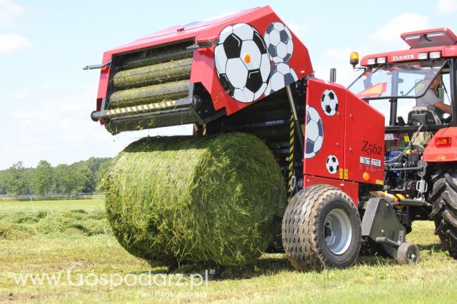 Szepietowo 2012 XIX Regionalna Wystawa Zwierząt Hodowlanych, I Ogólnopolska Wystawa Drobiu oraz Dni z Doradztwem Rolniczym - 48