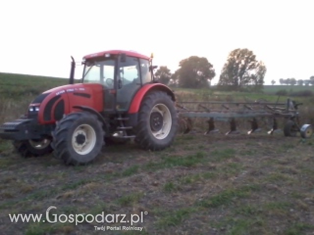 Zetor Forrtera 17741 +phx5