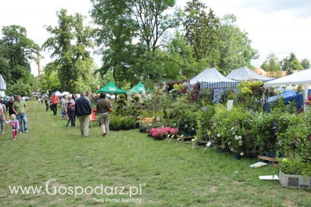 XX Targi Rolnicze Lubniewice