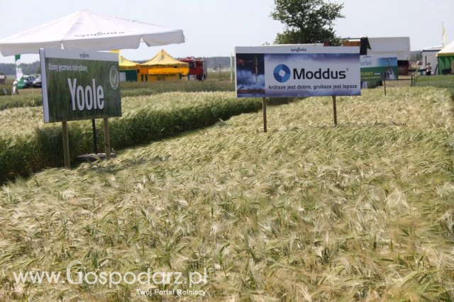 Polskie Zboża 2011 - Sobota