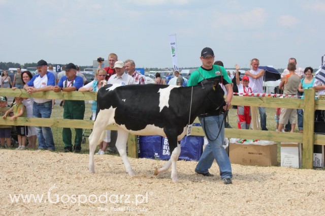 Nagordy dla superchampionów i championów  - 43