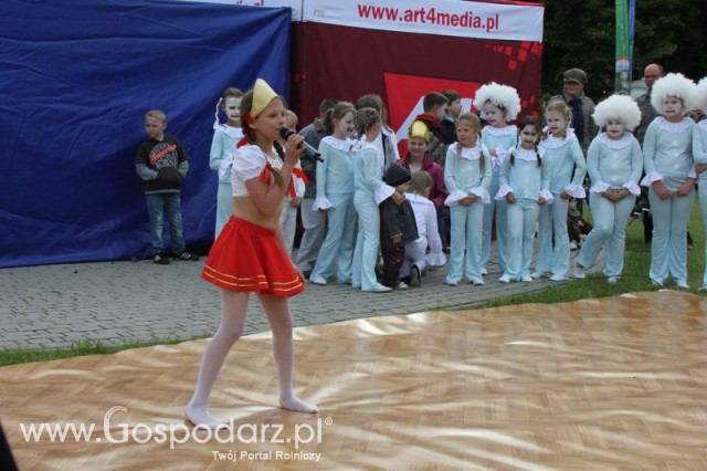 Występy artystyczne odbywające się podczas Dni Indyka