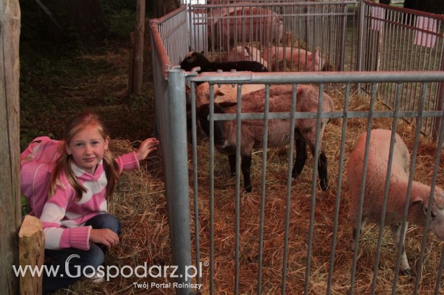 XX Targi Rolnicze Lubniewice