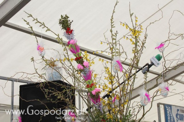 Fotoreportaż z XIV Spotkań Tradycji Wielkanocnych Ziemi Kłodzkiej